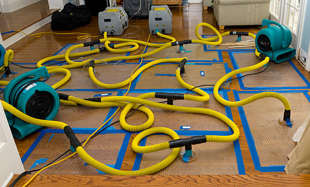 Professional Water Extraction technician working in Wilsonville, OR